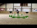 障碍赛马匹 Getalenteerd springpaard