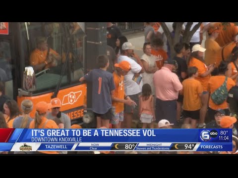 Tennessee fans bask in euphoria of first-ever baseball national title