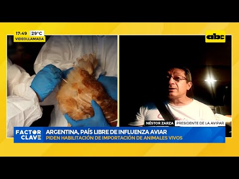 Argentina, un país libre de influenza aviar