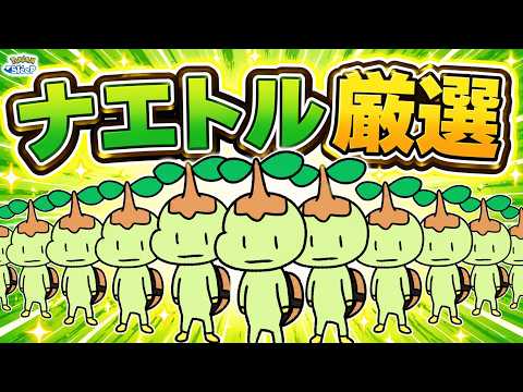 【ポケスリ】ナエトル大量発生！ゴンベとおひるねさせるナエトルをゲットしよう！ゆるゆる雑談配信🐶初見さんもコメントも大歓迎🐶【ポケモンスリープ】