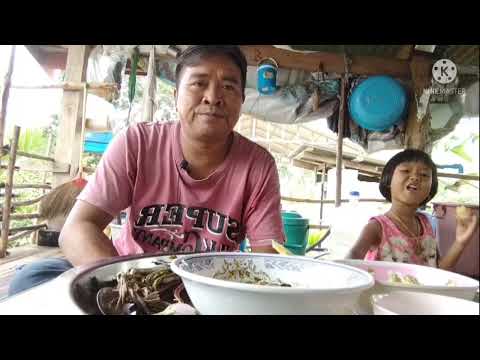 กินข้าวเช้านำกันเด้อครับ-ป่นกบ กินข้าวเช้านำกันเด้อครับ-ป่นกบ