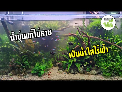 แก้ปัญหาระบบกรองล่ม-น้ำขุ่น-หม แก้ปัญหาระบบกรองล่ม-น้ำขุ่น-หม