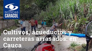 Cultivos, acueductos y carreteras arrasados: los estragos de fuertes lluvias en Cauca