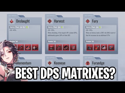 What DPS Matrix Combination To Use? [Etheria: Restart]
