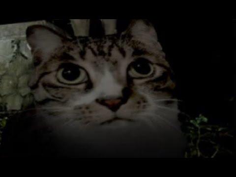 異変を見つけろ！　事故物件監視協会　3
