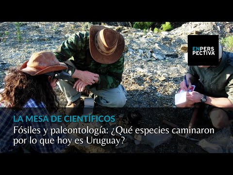 Fósiles y paleontología: ¿Qué especies caminaron por lo que hoy es Uruguay