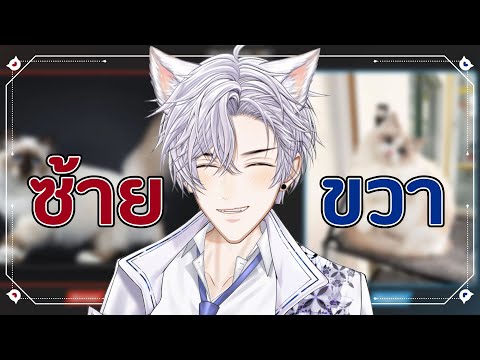 【🔴LIVE】จัดเทียร์น้องแมวแบบตามใ