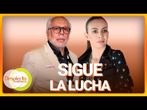 Sasha Sökol reacciona a ley que Luis de Llano promueve | Despierta América | Hoy | 29 de abril