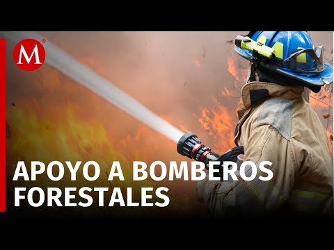 En Jalisco, arranca colecta de víveres en apoyo a bomberos