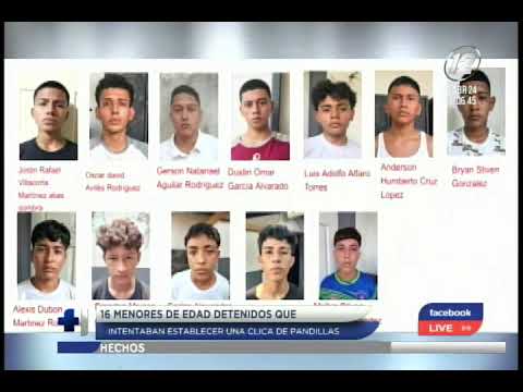 16 menores detenidos por intentar organizar una pandilla