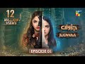 Judwaa - Episode 01 - 6th Feb 2025 [ Aina Asif & Adnan Raza Mir ] - HUM TV