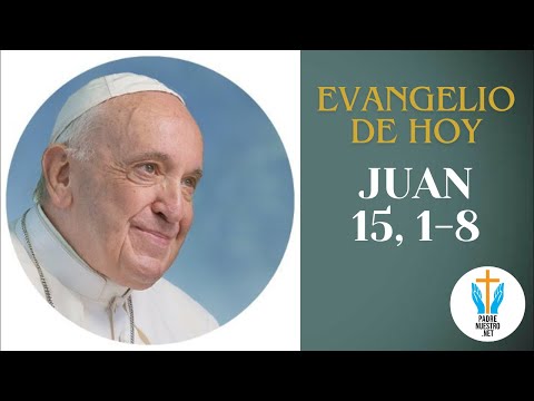 ? Evangelio de HOY JUAN 15, 1-8 con la reflexión del Papa Francisco  |