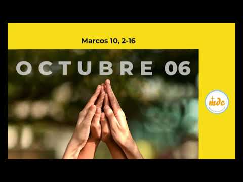 Marcos 10,2-16 - Evangelio del día - Padre Luis Zazano