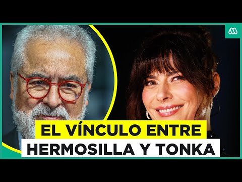 ¿Cuáles son los vínculos entre Hermosilla y Tonka en el Caso Audios?