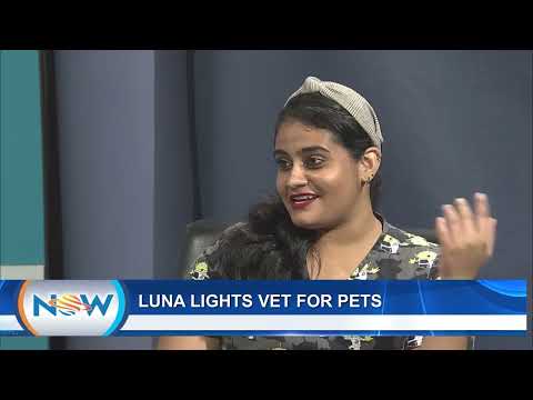 Luna Lights Vet For Pets -Pet Obesity
