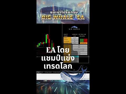 BigWhaleEAรีวิว