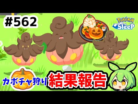 【睡眠リサーチ】＃562『カボチャ狩りの結果報告』【ポケモンスリープ/pokemon sleep】【無課金ゴプラ勢】【ゆっくり実況ずんだもん】