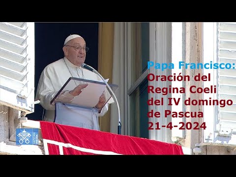 Papa Francisco – Oración del Regina Coeli del IV domingo de Pascua, 21-4-2024