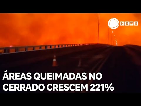 Áreas queimadas no cerrado crescem 221% em agosto