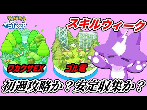 【必見】スキルウィークにワカクサEXとゴールド旧発電所どっちに行くべき？後悔しないよう徹底解説！【ポケモンスリープ】