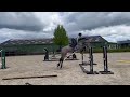 حصان القفز Getalenteerd springpaard