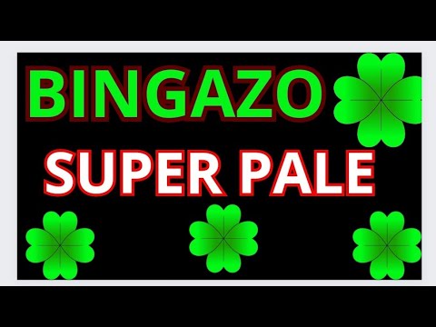 Bingazo  Bingazo Bingazo