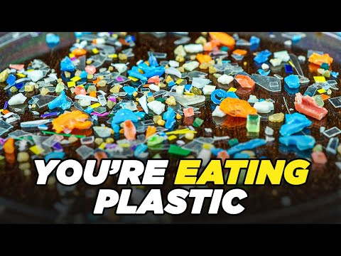 Studies Reveal There's No Escape From Consuming Microplastics