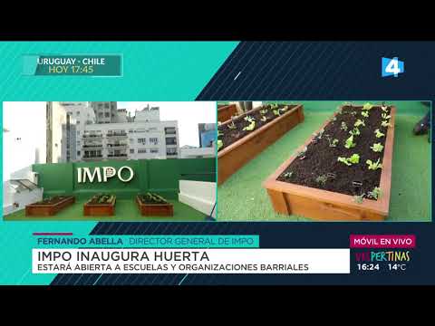 Vespertinas - El IMPO inaugura una huerta en su azotea