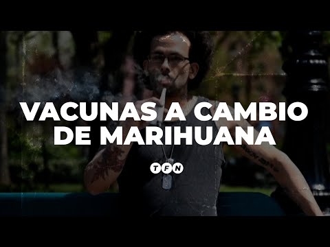 VACUNAS CONTRA EL CORONAVIRUS A CAMBIO DE MARIHUANA - TFN
