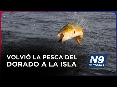 VOLVIÓ LA PESCA DEL DORADO A LA ISLA - NOTICIERO 9