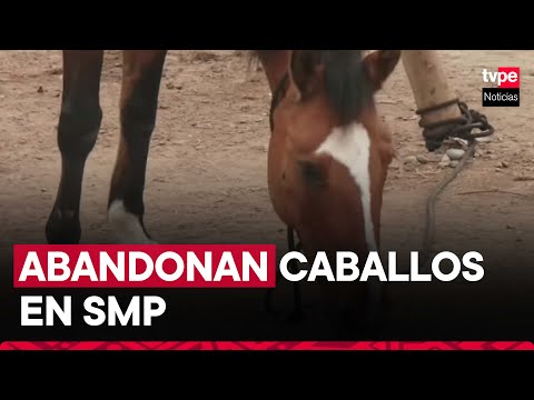 SMP: reportan abandono de dos caballos en la vía pública