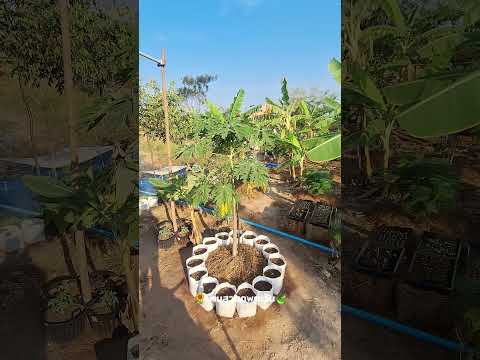 สวัสดียามเช้าทุกท่านครับวันนี้