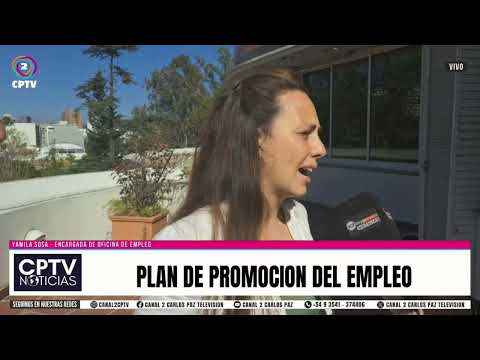 Plan de promocion del empleo