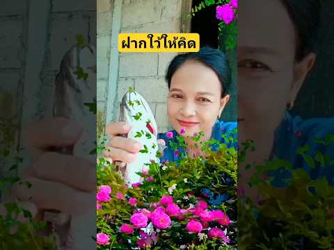 ฝากไว้ให้คิดคติเตือนใจ