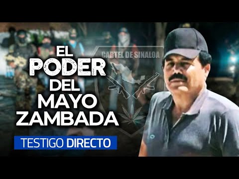 EL TEMIBLE MAYO ZAMBADA: El gran jefe del CARTEL DE SINALOA - Testigo Directo