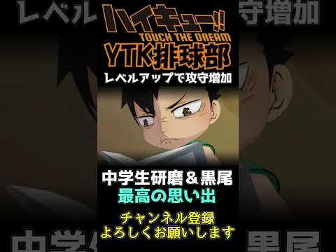 【 ハイドリ 】中学生 黒尾鉄朗 孤爪研磨 最高の思い出 スペシャル演出 【 ハイキュー Touch The Dream / YTK排球部 / ともプー / かなみ 】
