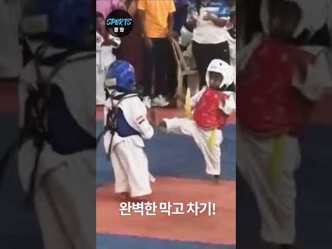 웃기는 태권도 겨루기 (3-5 year-old funny Taekwondo fights)