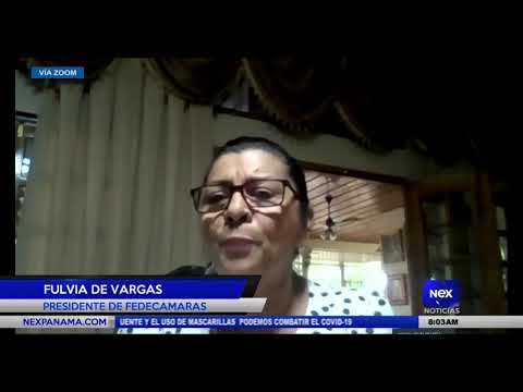Entrevista a Fulvia De Vargas  - Presidente de Fedecamaras