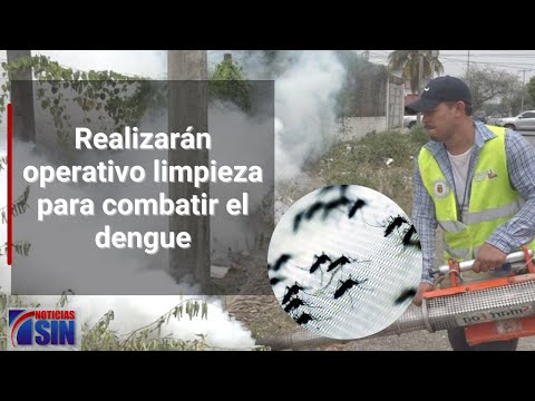 Realizarán operativo limpieza para combatir el dengue