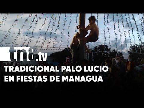 Inician las fiestas tradicionales de Managua con el “palo lucio” - Nicaragua