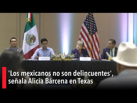'Los mexicanos no son delincuentes', señala Alicia Bárcena en Texas