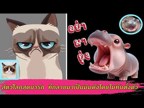 เหล่าสัตว์โลกสุดน่ารักที่กลา