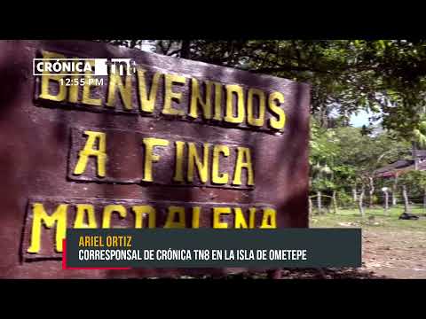 Isla de Ometepe: El destino perfecto para estas vacaciones de fin de año - Nicaragua