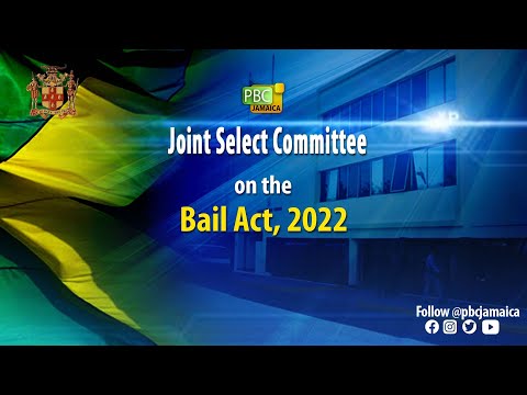 Joint Select Committee on The Bail Act, 2022 - July 13, 2023