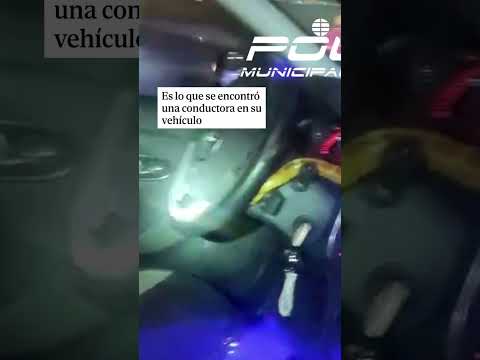 Una conductora encuentra en su coche una serpiente del maíz cuando circulaba por la A 4 en Madrid