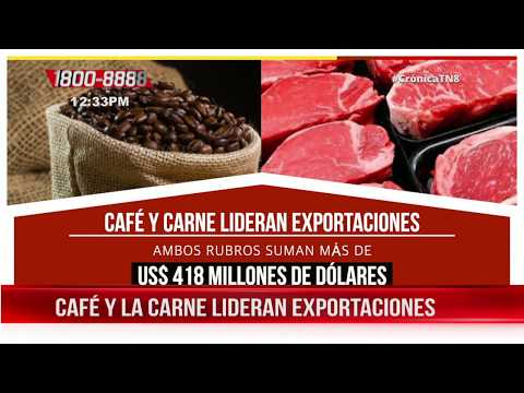 El café y la carne de bovino lideran las exportaciones en Nicaragua
