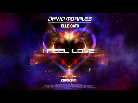 David Morales, Elle Cato - I Feel Love (Extended Mix)