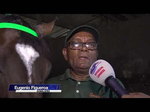 Eugenio Figueroa habla sobre SONAJERO - Clásico Puerto Rico Futurity