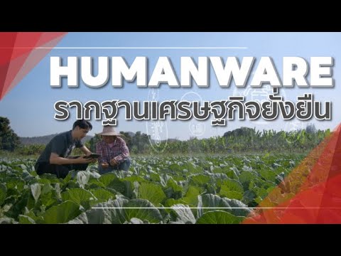 ยกระดับ“Humanware”รากฐานเศรษ