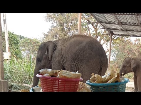 ออเดอร์ผลไม้จากพี่อ้อมขอบพระ